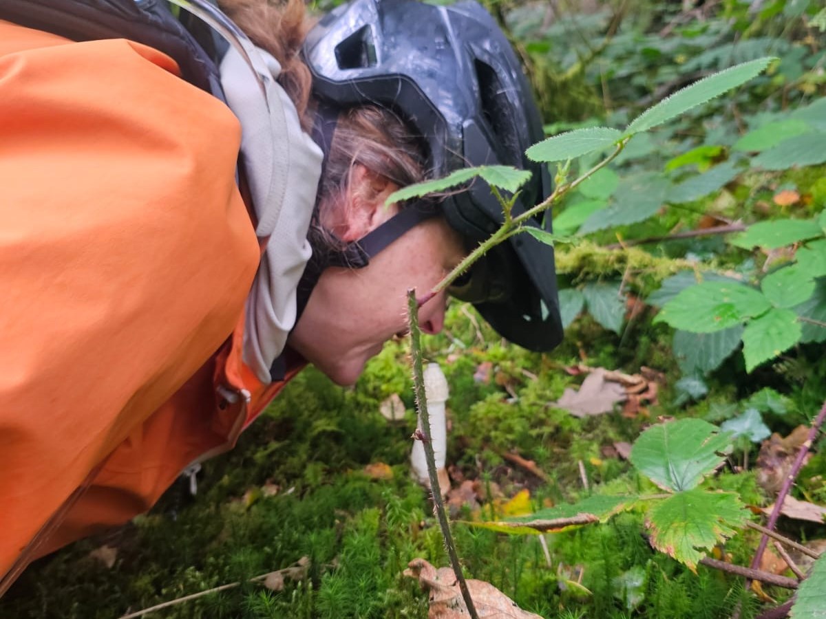 Traws Eryri – Day&nbsp;3